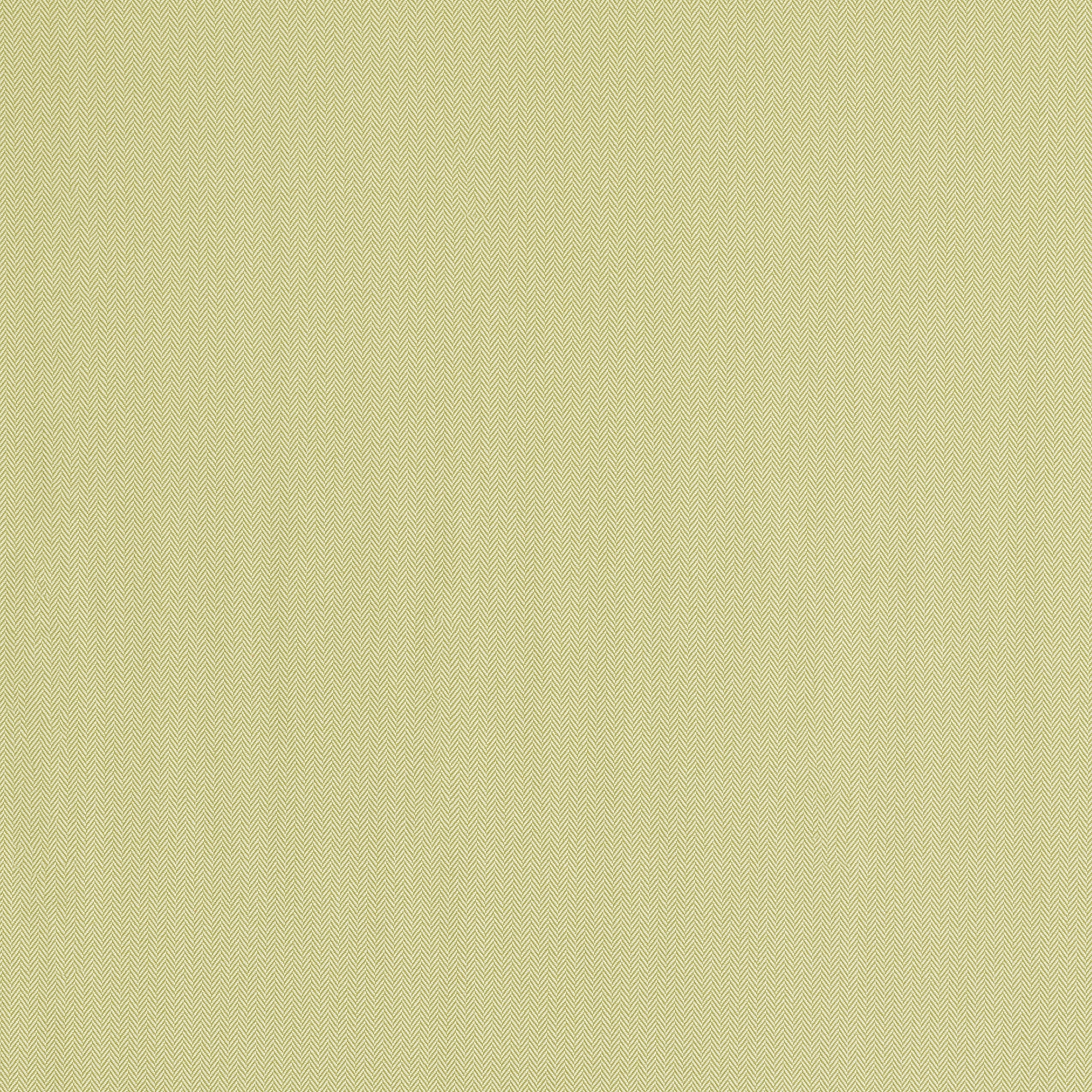 Prescott Standard Seat Cushion - 17.25"D x 18.25"W x 2.5"H in Primary Colors Pistachio