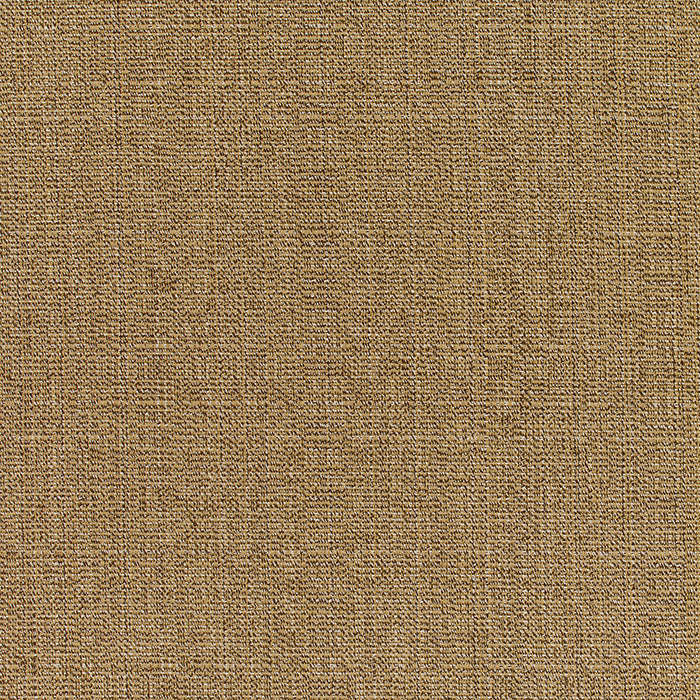 Club Seat/Back Cushion in Sesame